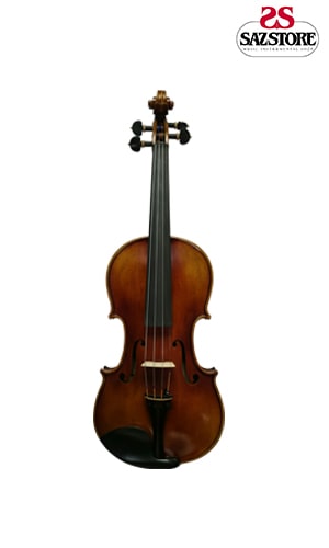ویولن Albanesi 800